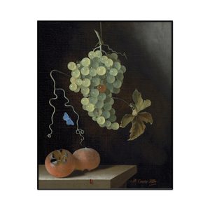 Adriaen Coorte Still Life With A Hanging Bunch Of Grapes Two Medlars And A Butterfly Portrait Set1 Cover0