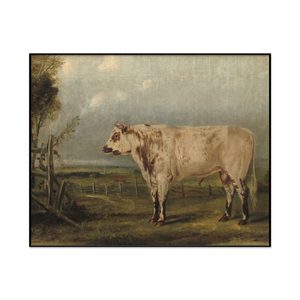 Attributed To John Woodhouse Audubon A Young Bull Landscape Set1 Cover0