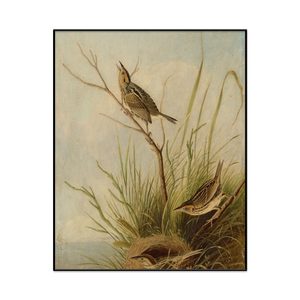 Joseph Bartholomew Kidd After John James Audubon Sharp Tailed Finch Portrait Set1 Cover0