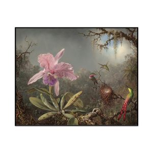 Martin Johnson Heade Cattleya Orchid And Three Hummingbirds Landscape Set1 Cover0