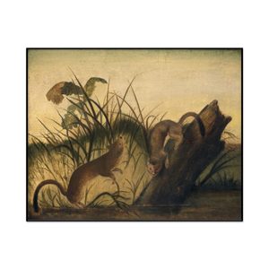 Studio Of John James Audubon Long Tailed Weasel Landscape Set1 Cover0